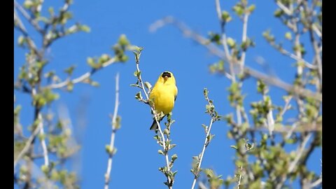 3891 Days Left For The Planet