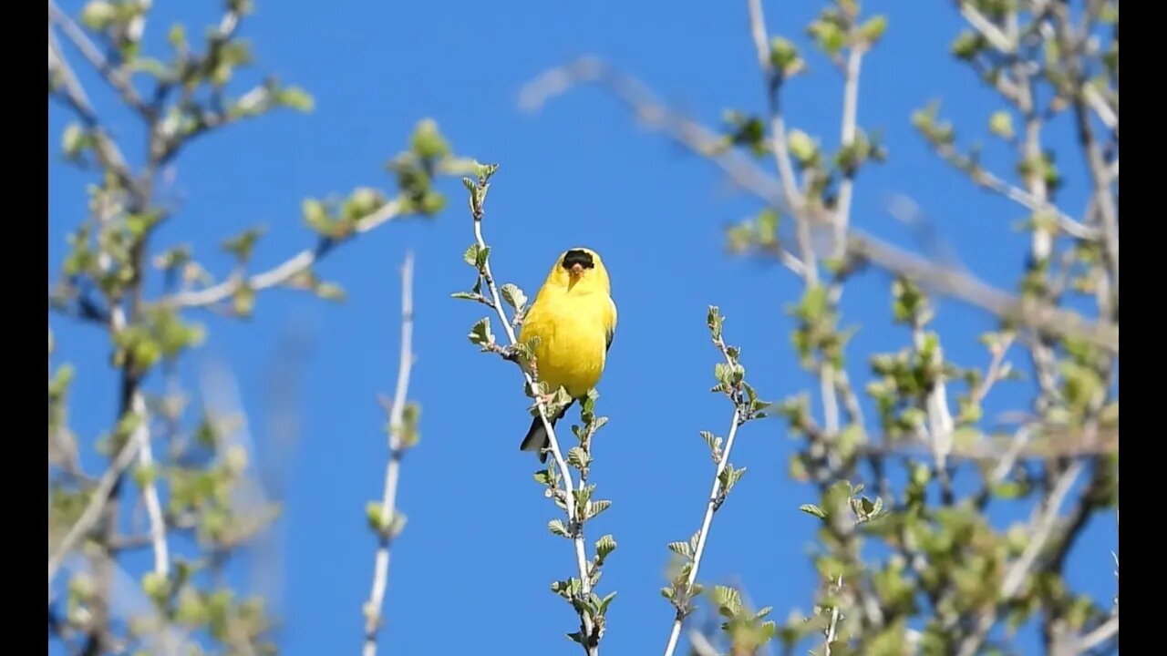 3891 Days Left For The Planet