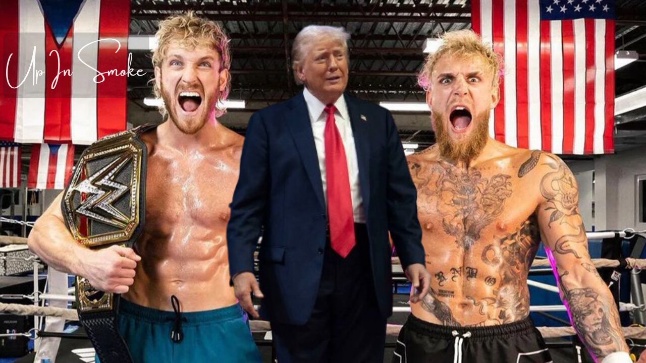 Logan and Jake Paul claim divine intervention saved Trump from assassination attempt