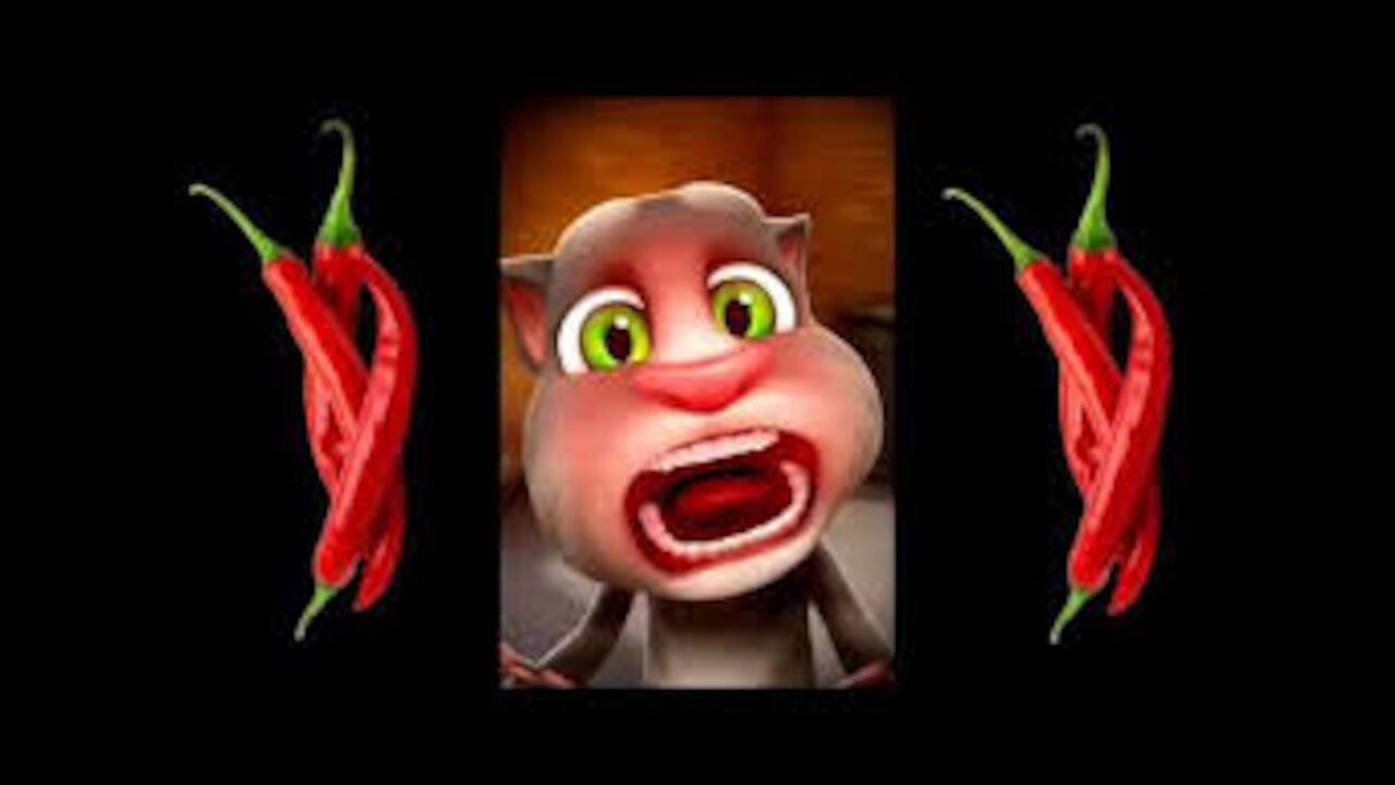 Mirchi🌶Talking Tom funny cat comedy || billi ki best comedy videos || comedy..