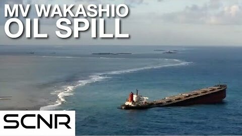 MAURITIUS: THE AFTERMATH OF AN OIL SPILL AND ECOLOGICAL DISASTER | SCNR