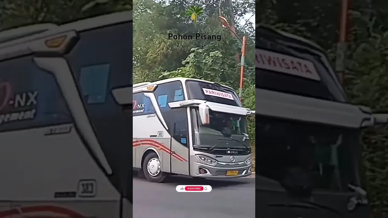 Bus Budiman Pariwisata