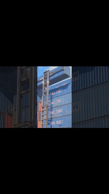 Containers Loadings 🤯🤯 #work #viral #containers #ships #hardwork #shortsvideo #short