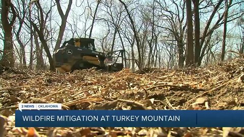 Mitigating wildfire chance at Turkey Mountain