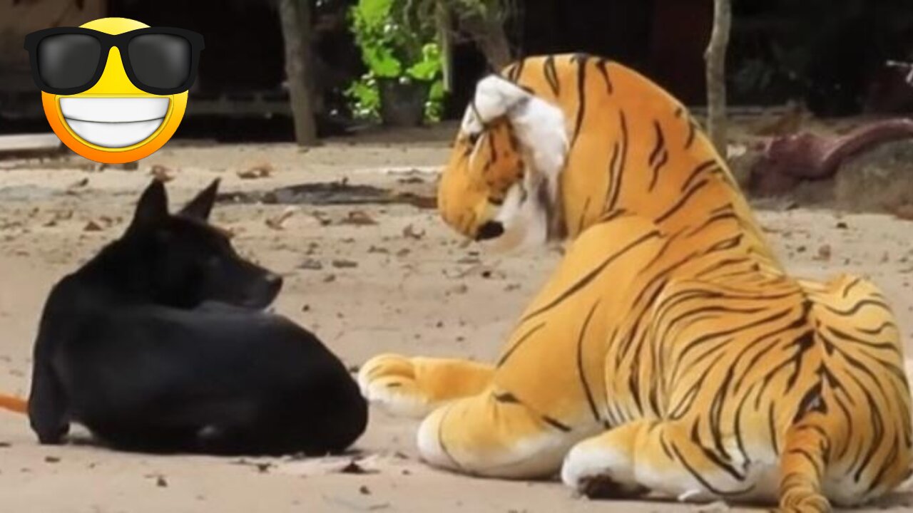 Roaring Laughter: Dog's Funny Encounters with Fake Lion and Tiger Pranks!