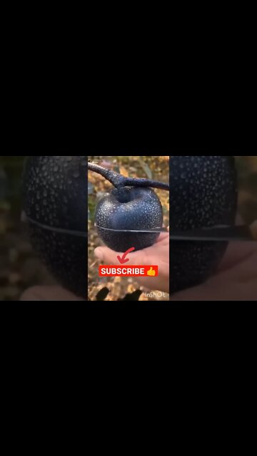 koi apne Maa se pyar karta h 💪