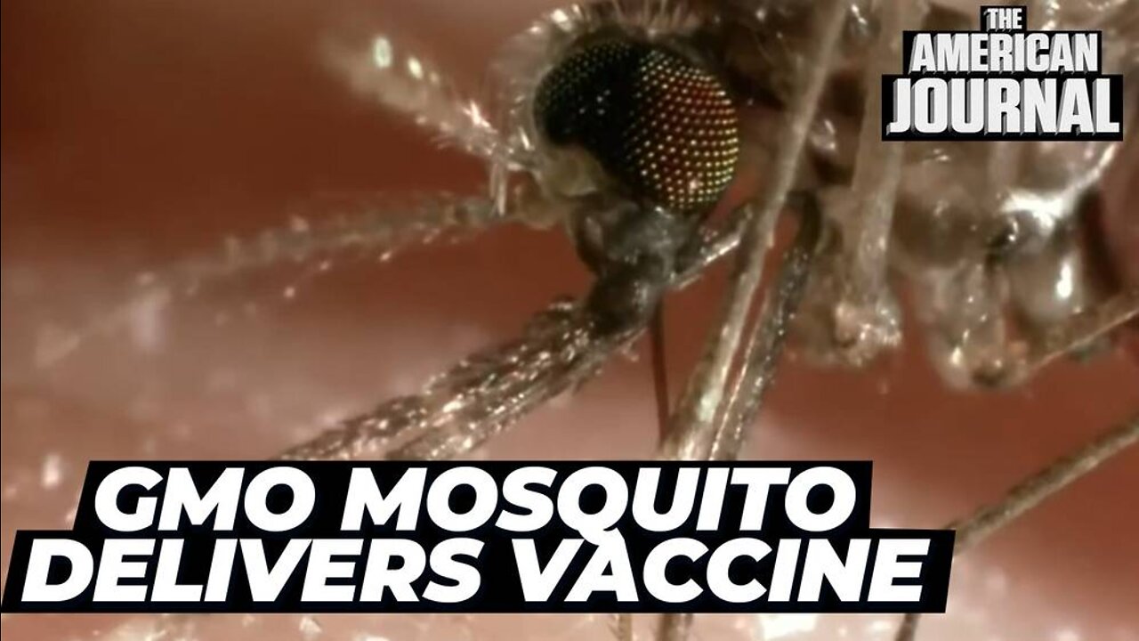 GMO Mosquitoes Successfully Vaccinate A Human