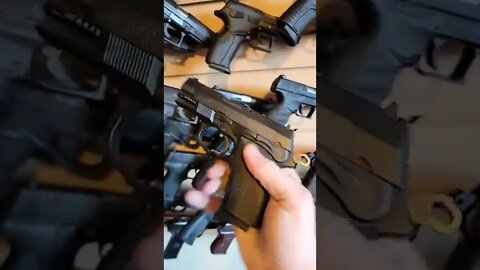 Wall of Guns: Bersa TPR9 Series