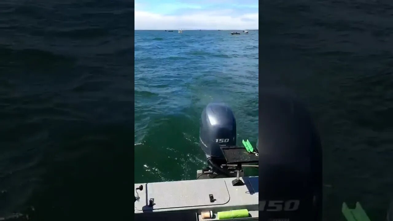 Choppy Waters no Problem!