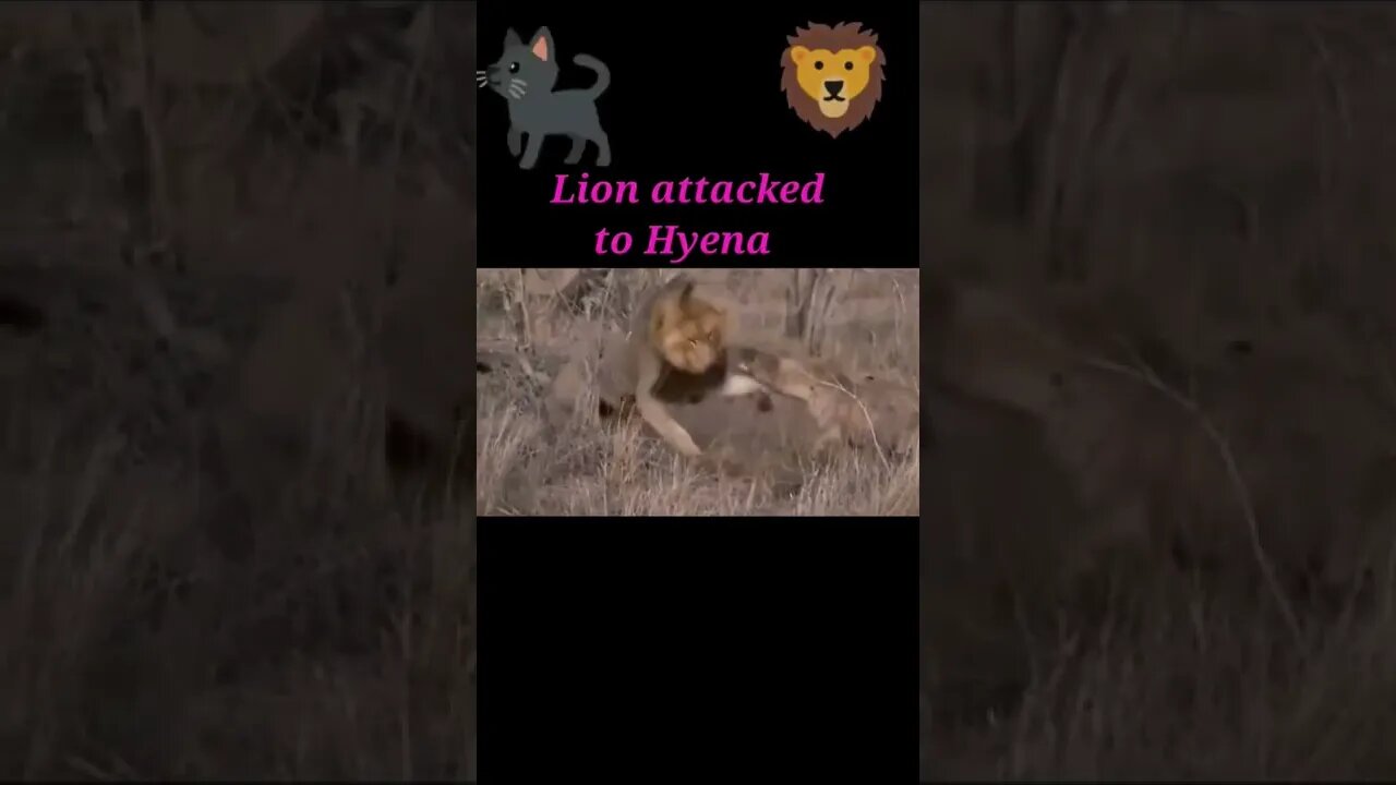 Lion attacked to Hyena 2022 #shorts #youtubeshorts #shortvideo