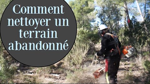 Comment nettoyer un terrain abandonné et quels outils utiliser? Débroussailleuse et tronçonneuse