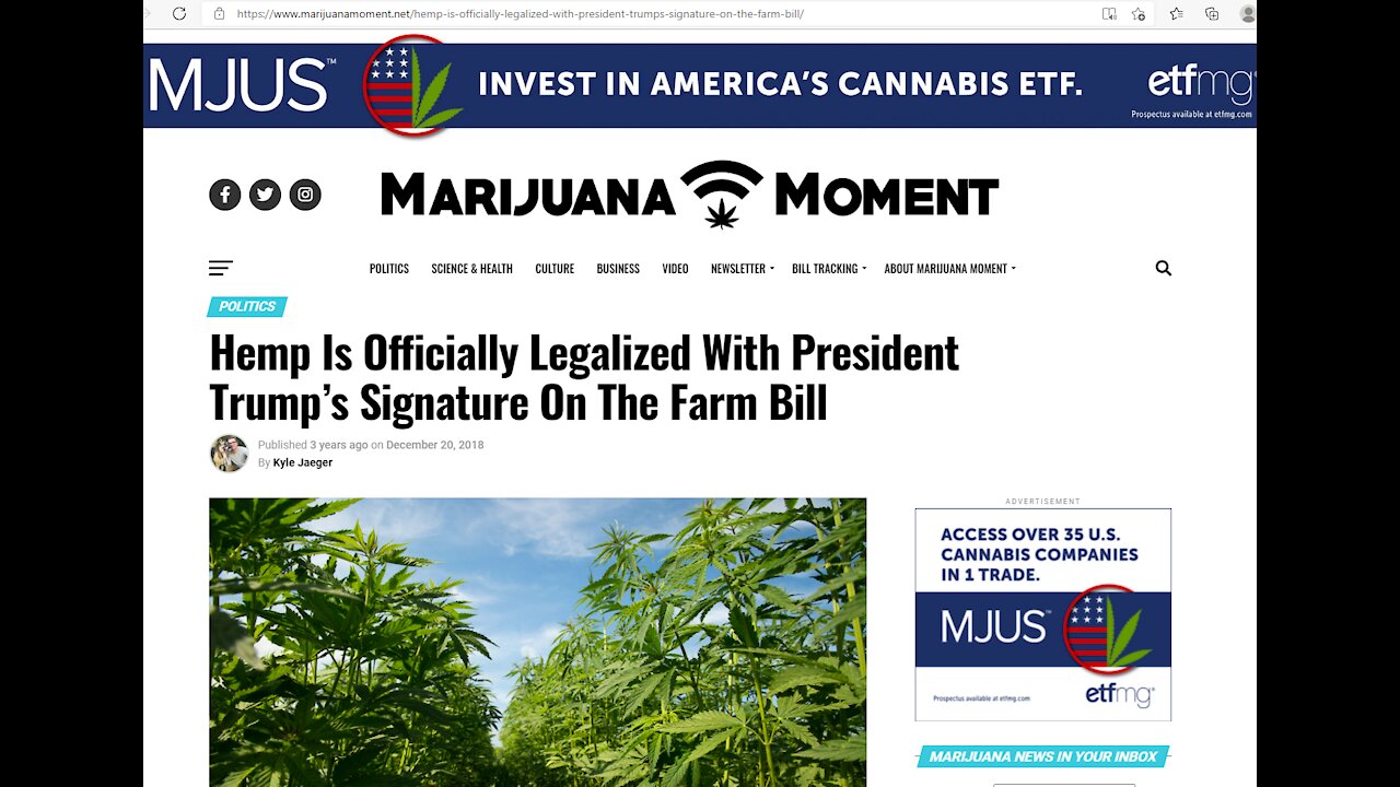 Hemp Can & Needs To Be Used For Everything