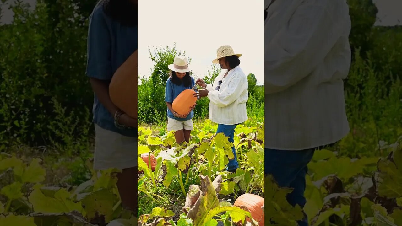 AY ayra #shorts #youtube #youtubeshorts