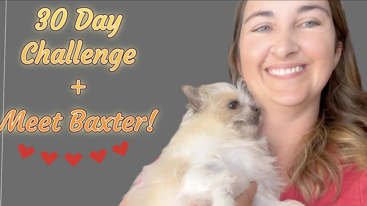 30 Day Challenge + Meet Baxter!