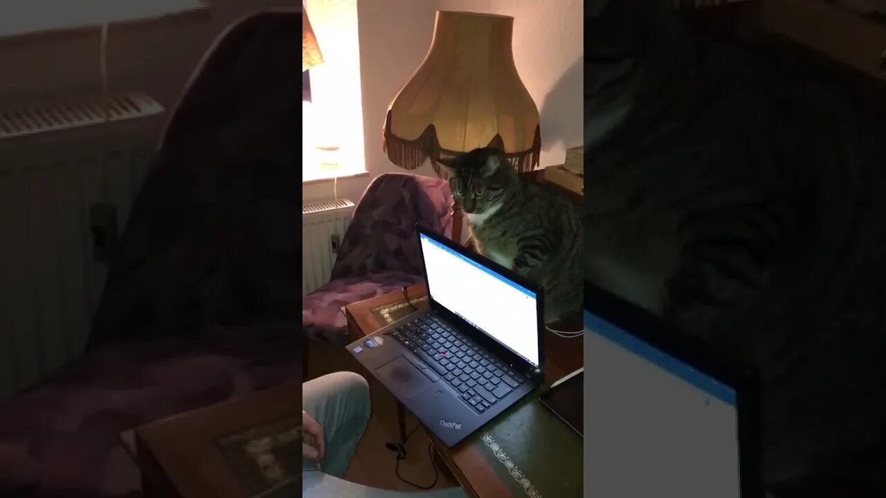 Me trying to end first day of home office early today