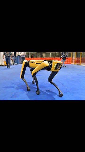 How to disable spot the Robot Dog (Just thinking ahead)