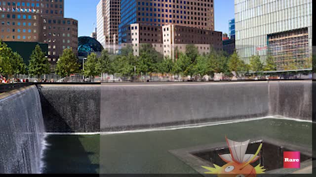Where you really shouldn't be playing Pokemon Go | Rare News