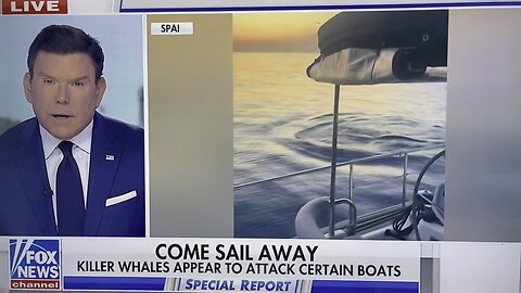 Killer whales sunk the third boat this month ￼