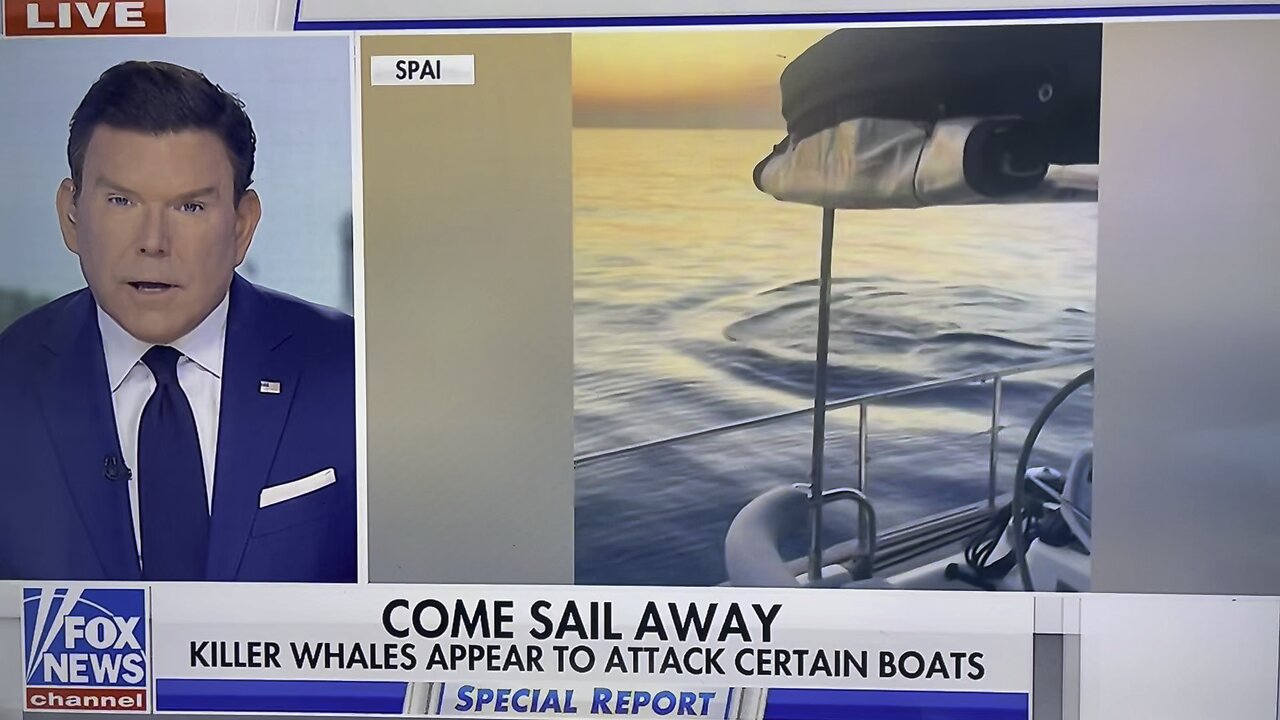 Killer whales sunk the third boat this month ￼