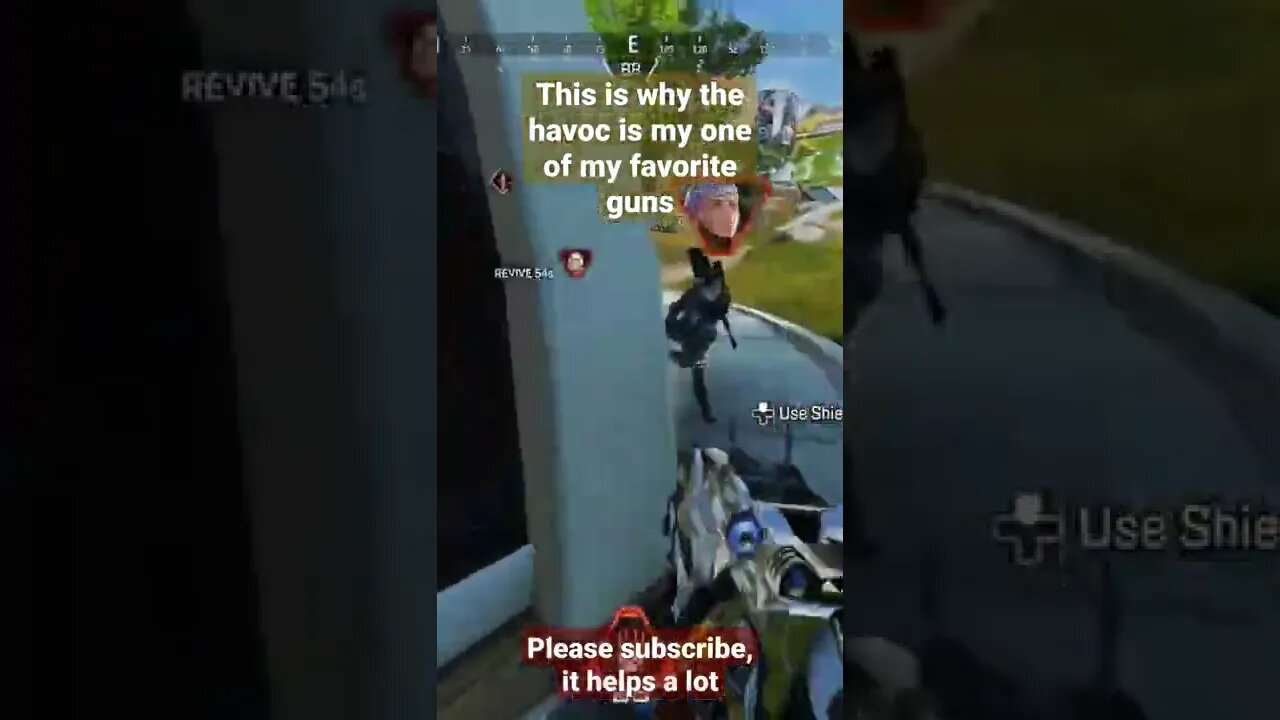 single mag havoc versus two enemies