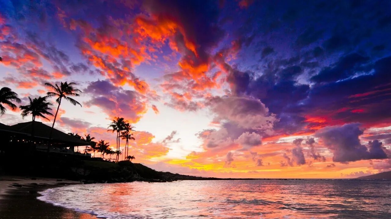 Yardism Live ⁸¹²²