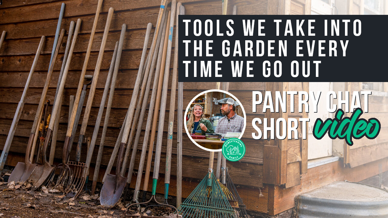 What Tools Go With Me EVERY Time I Go to the Garden? | Pantry Chat Podcast SHORT