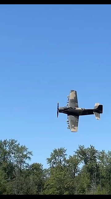 Skyraider Radial sounds amazing
