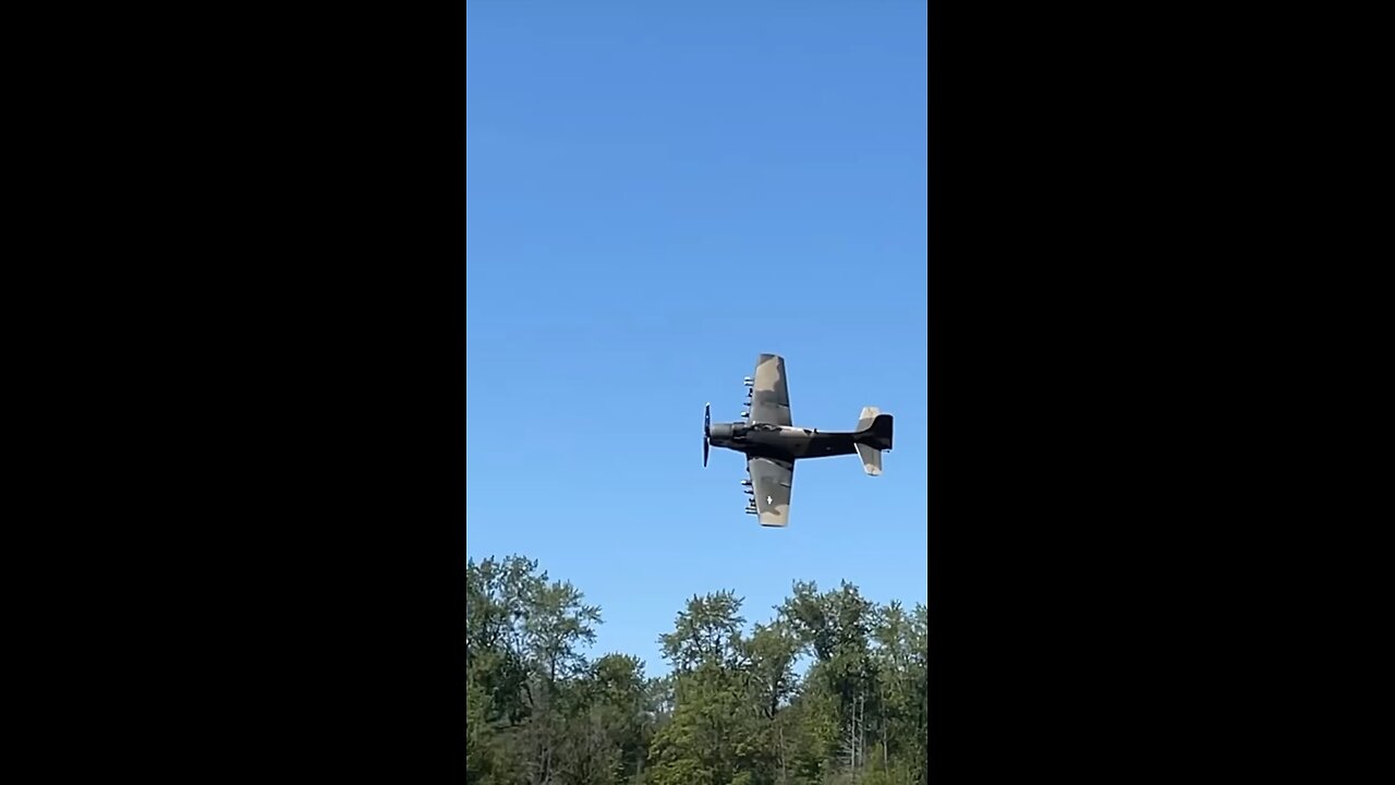 Skyraider Radial sounds amazing