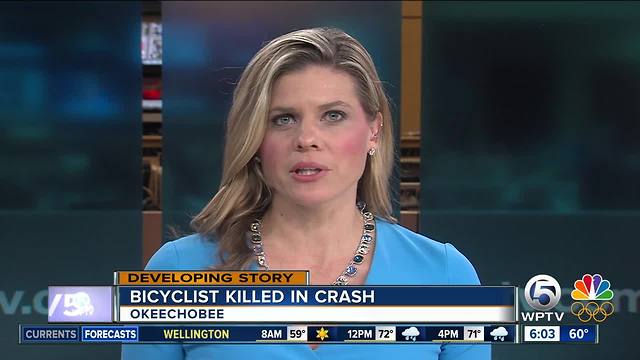 Bicyclist killed