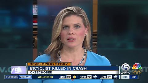 Bicyclist killed