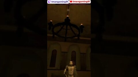 Schienzel's Guardian