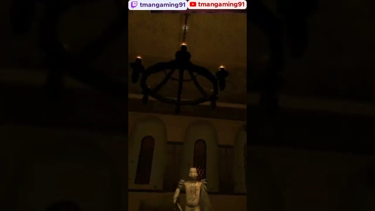 Schienzel's Guardian