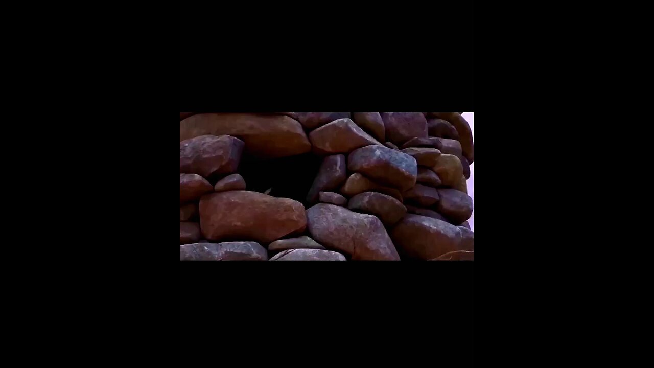 Dinosaur cartoon movie short video