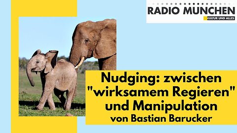 Nudging: Zwischen "wirksamem Regieren" und Manipulation@Radio München🙈🐑🐑🐑 COV ID1984