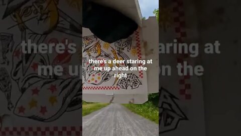 hungry deer harasses trail user with pizza