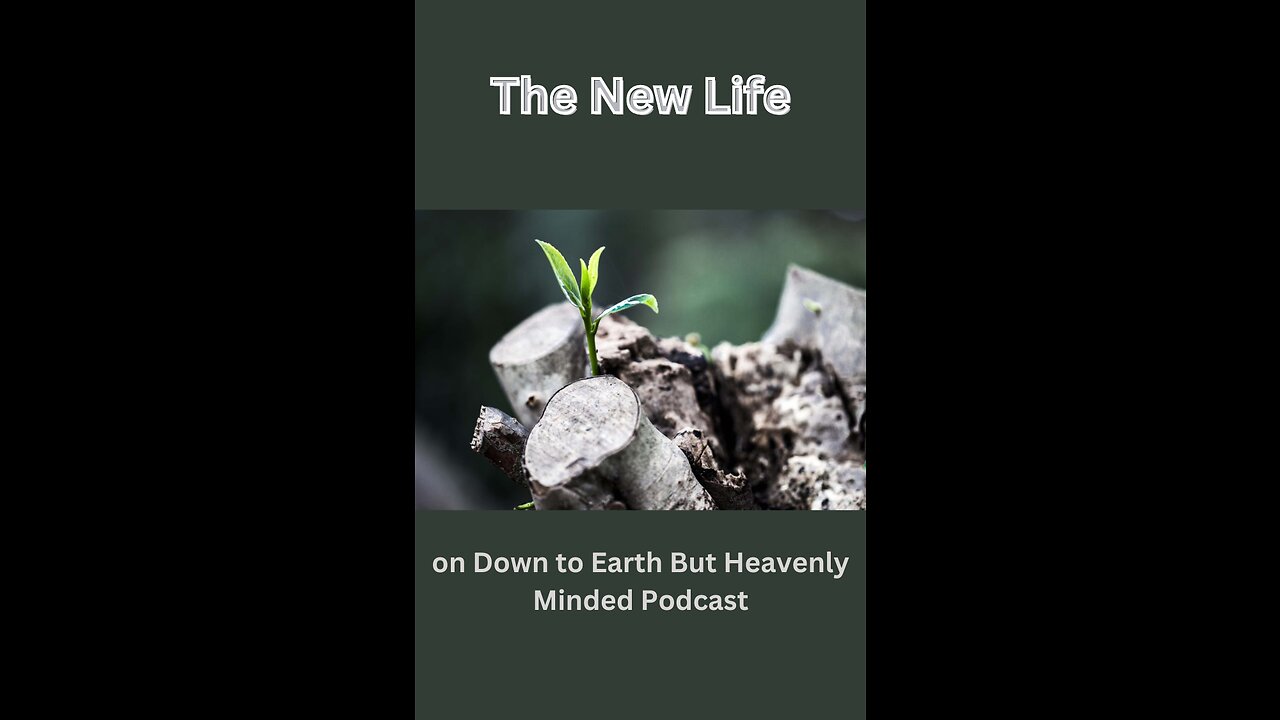 The New Life, on Down to Earth But Heavenly Minded Podcast