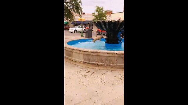 Dog + water fountain = a great time