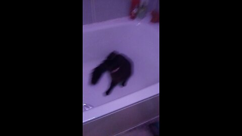 Bonnie's Turn To Clean the bath
