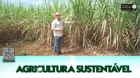 Agricultura Sustentável - com Frederico Olivi