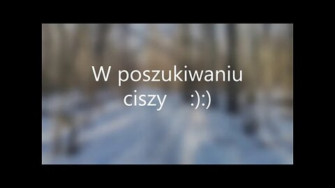 W poszukiwaniu ciszy - Anna Budzik