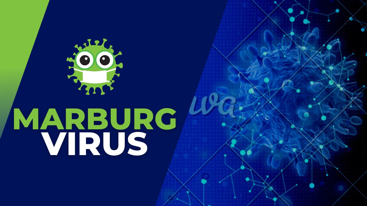 Marburg Virus: The Deadly Filovirus You Need to Know About