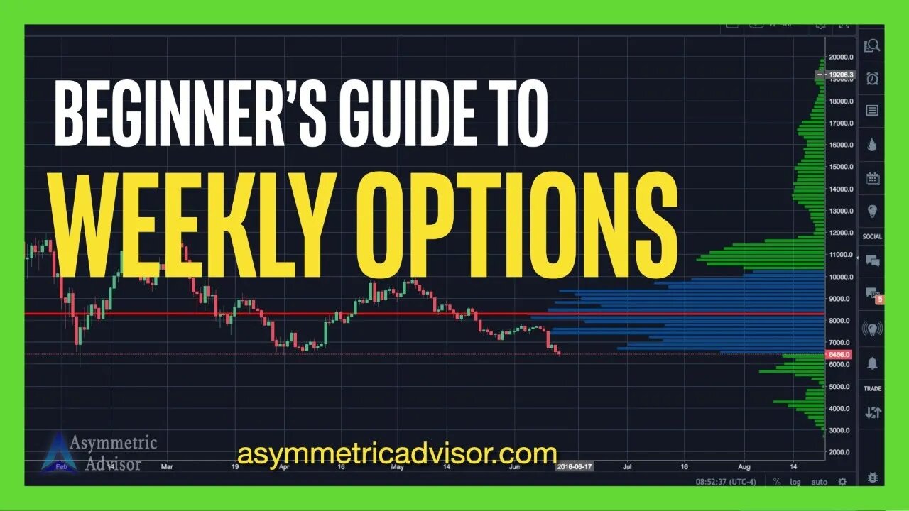 Beginners Guide Weekly Options