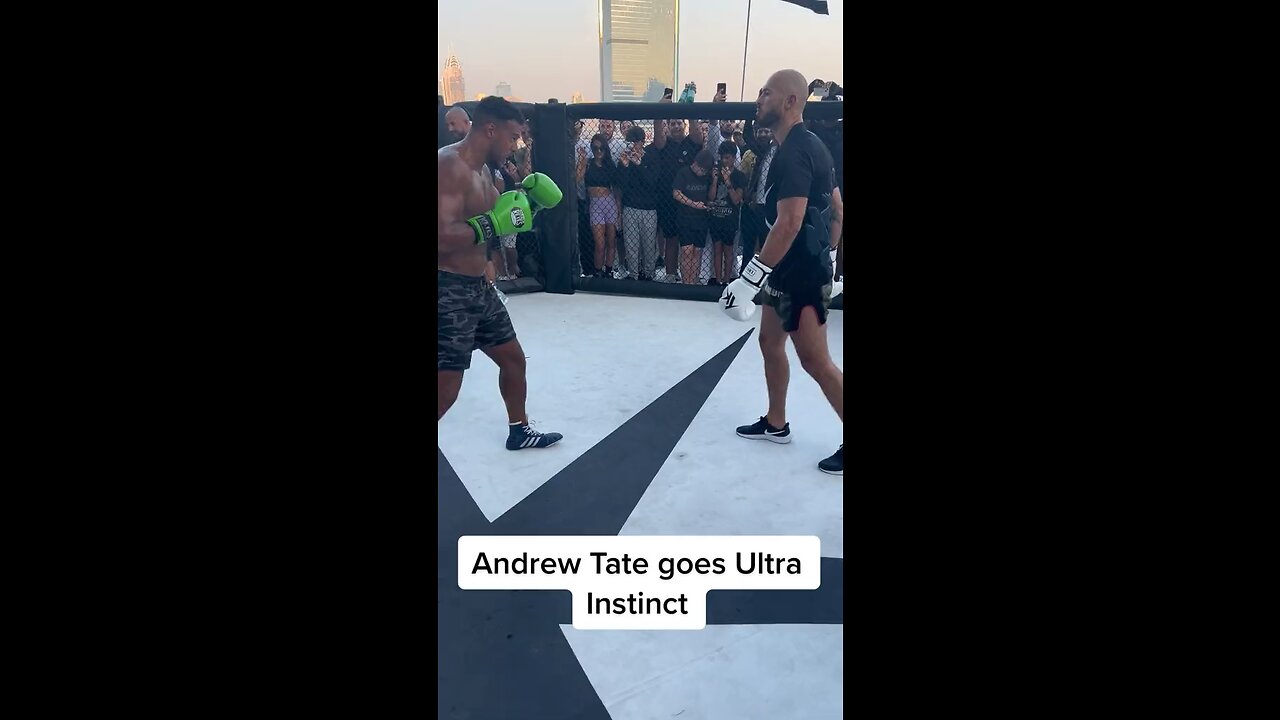 Andrew Tate Gets Back In The Ring!!