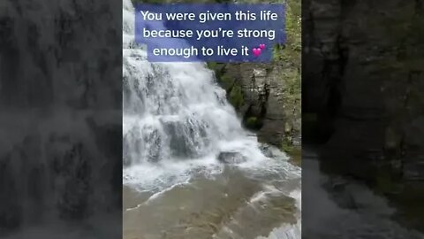 Quotes of the day You were given this 💗 life because...