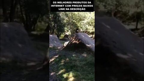 caiu de cara no chão
