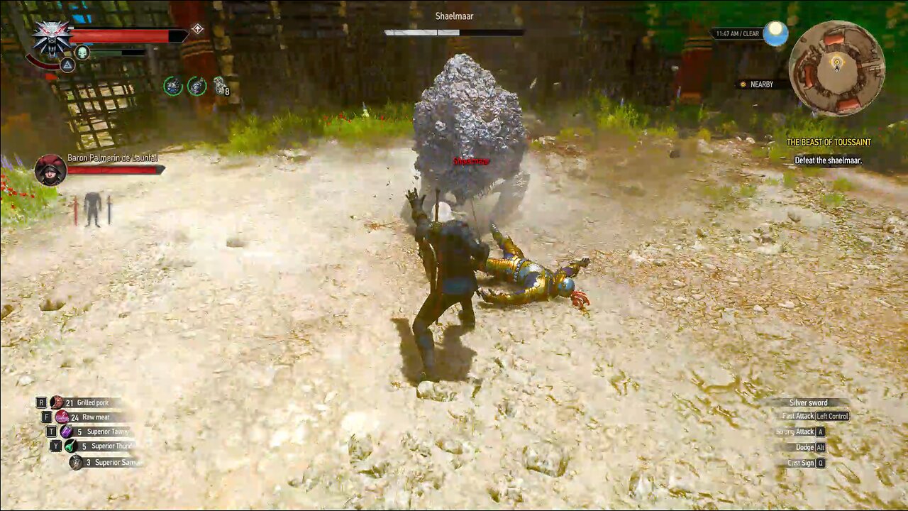 The Witcher 3 beast of touissant p3 shalemar fight
