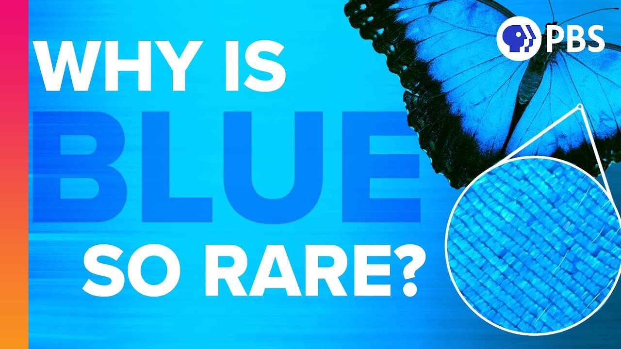 Why Is Blue So Rare In Nature?