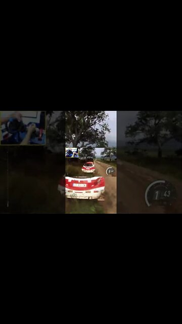 Dirt Rally 2.0 - Pegeout 208 R5 T16 #shorts