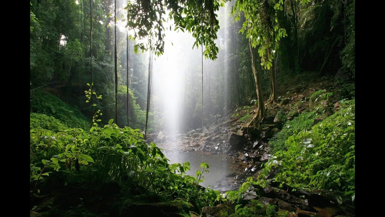 6 Hours In A Stormy Rain Forest For Meditation, Study or Relaxation. Dark Screen For Deep Sleep.