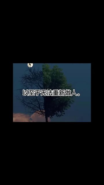 一句话开悟20220612